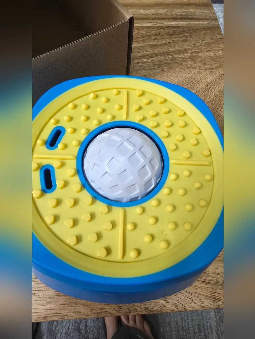 New Interactive Slow Feeder & Lick Bowl for Dogs & Cats – Enrichment Feeding Toy